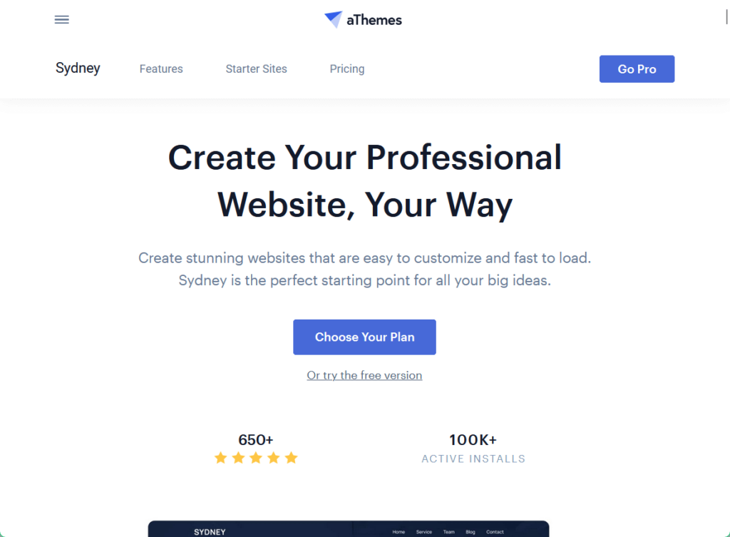 Create your professional website, your way