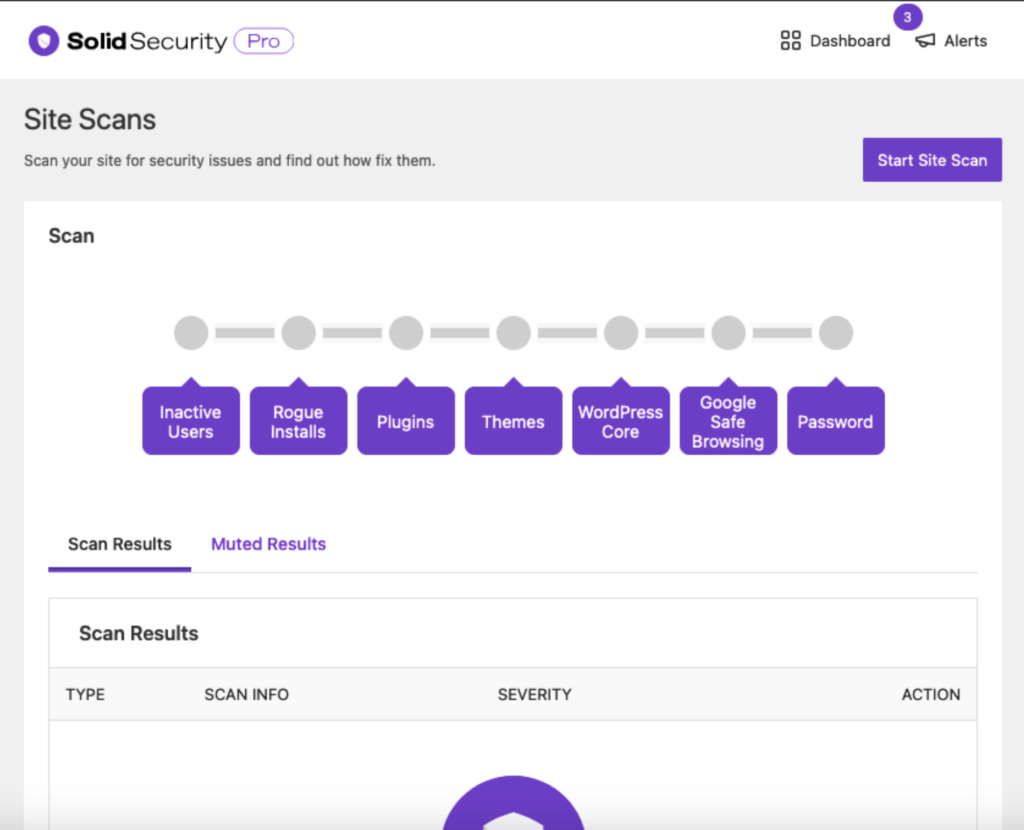 solid security site scans