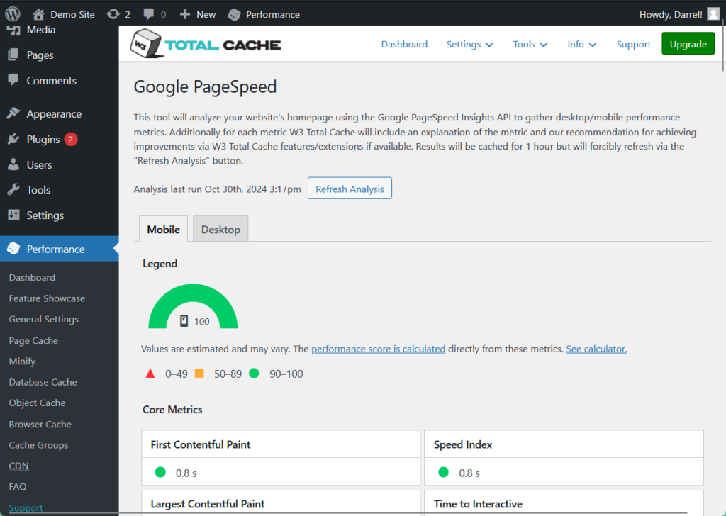 w3 total cache google pagespeed analysis