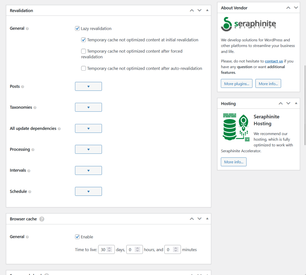 seraphinite accelerator revalidation settings