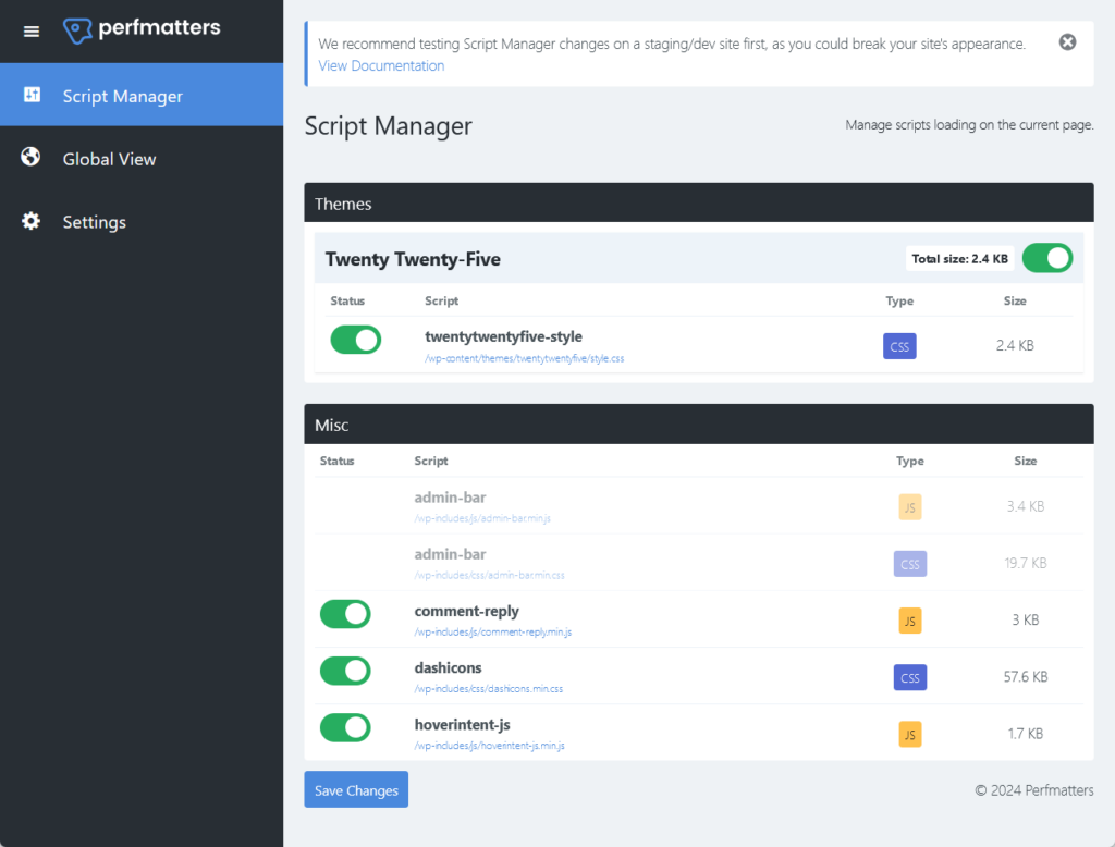 perfmatters script manager