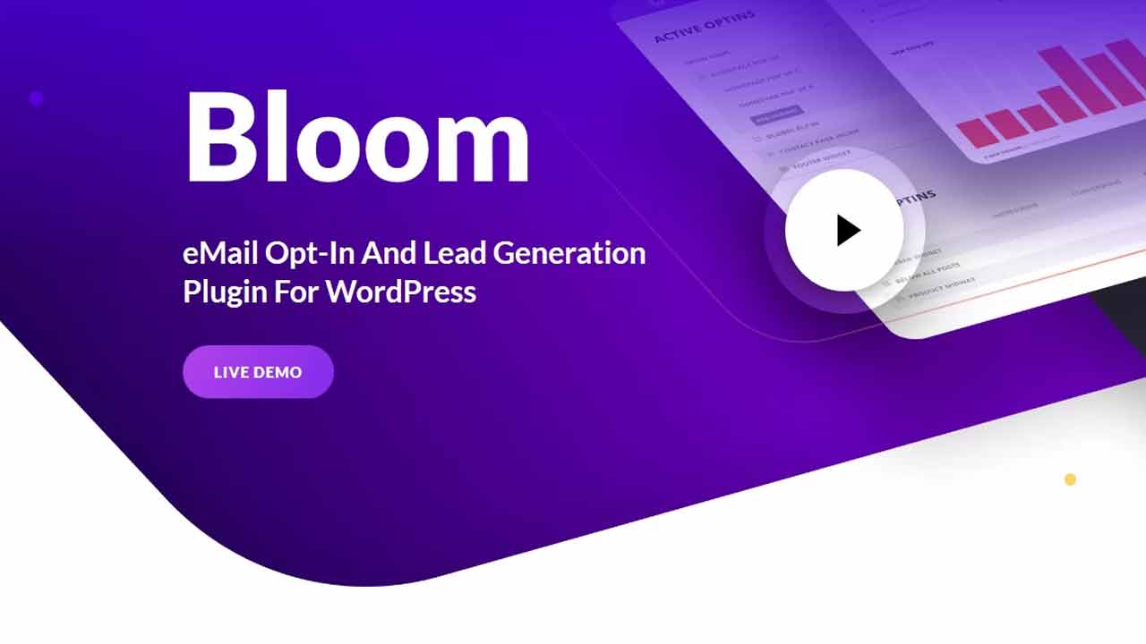 How to Use the Bloom Plugin
