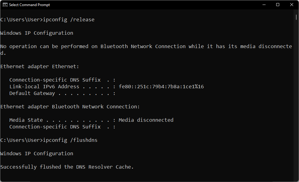 Enter the ipconfig flushdns command until you see the success message