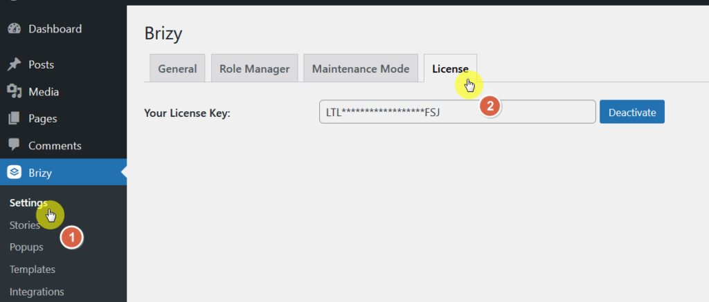 enter your brizy license key