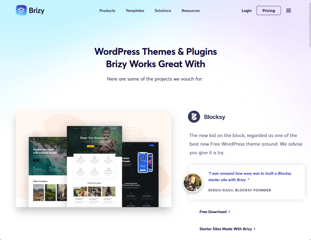 wordpress themes and plugins brizy works great with