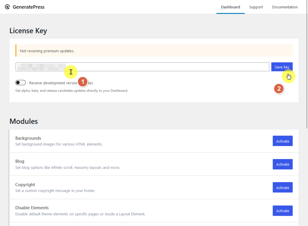 enter your license key to activate updates