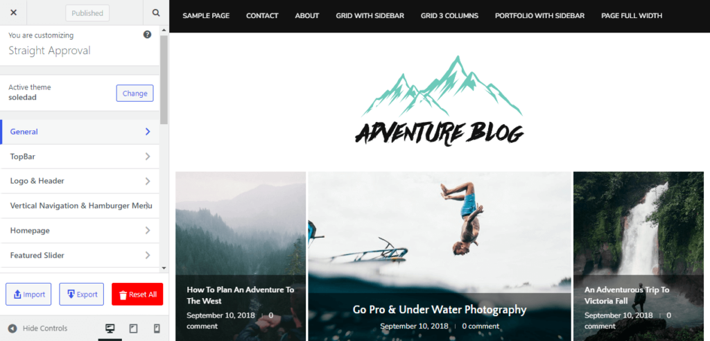 Soledad theme options