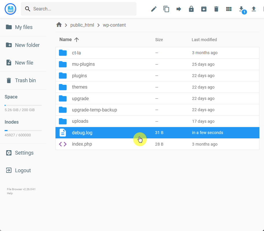 debug log in the wp content directory