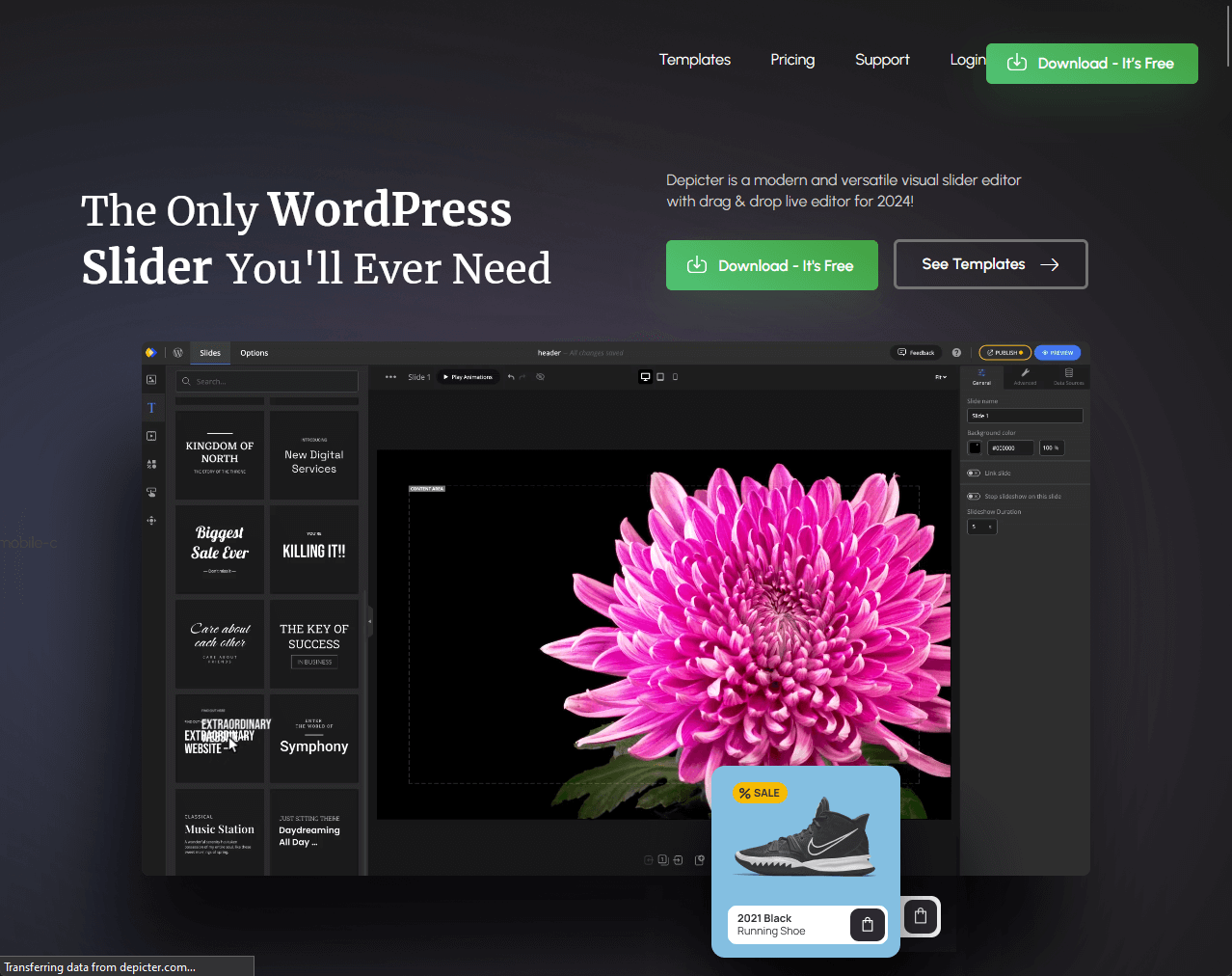 Depicter: The Only WordPress Slider You’ll Ever Need.