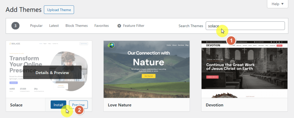 search and install the solace theme